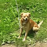 Peggy Pyles - @peggypyles70 - Instagram