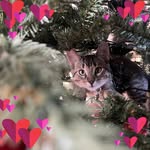 Peggy Elizabeth - @peggyrafuse - Instagram