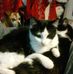 Peggy Randall - Facebook
