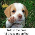Peggy Randall Arrington - @peggy0363 - Instagram