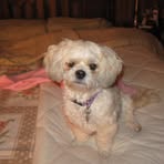 Peggy Raymer - Facebook