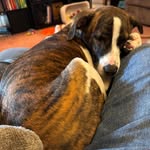 Peggy Bauman Rector - @peggyrector - Instagram