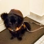 Peggy Rees - @peggy.rees.1 - Instagram