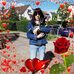 Peggy Rees - Facebook