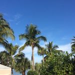 peggy reilly - @momomreilly - Instagram