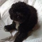 Peggy Reilly Taylor - @peggy.r.taylor.92 - Instagram