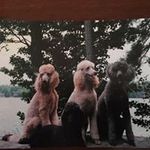Peggy Reitzel - @peggyreitzel - Instagram