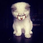 Peggy Riedel - @kittyhase78 - Instagram