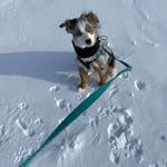 Peggy Riedel - @riedel.peggy - Instagram