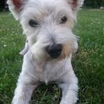 Peggy Riese - @peggy.riese - Instagram