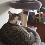 Peggy Riess - @peggyriess - Instagram