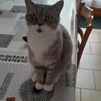 Peggy Robert - Facebook