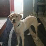 Peggy Root - @greeneyesplr - Instagram