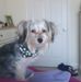 Peggy Root - Facebook
