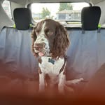 Peggy Root Penn - @hmp0595 - Instagram