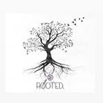 Peggy Rountree - @rooted_rountreehomestead - Instagram