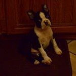 peggy rouse - @rousepeggy - Instagram