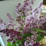 Peggy Rowand - @peggyrowand - Instagram