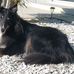 Peggy Rucker - Facebook