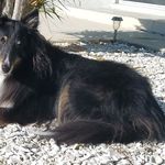 Peggy Rucker - @peggy.rucker.37 - Instagram