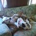 Peggy RUff - Facebook