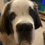 Peggy - @saint_peggy - Instagram