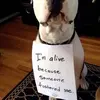peggysandstrom - @peggysandstrom - TikTok