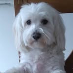 Pouki Sandstrom - Facebook