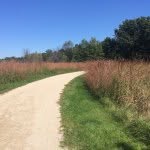 Peggy Schaefer - @peg46 - Instagram