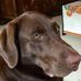 Peggy Schaub - Facebook