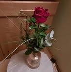 Peggy Schauer - Facebook