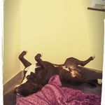 Peggy Scheffler - @peggyscheffler - Instagram