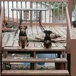 Peggy Schell - @peggy.schell.37 - Instagram