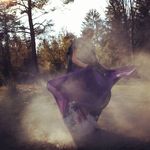 Peggy - @peggyschott2020 - Instagram