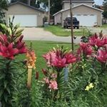 Peggy Schott - @pickypeggy52349 - Instagram