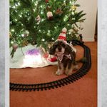 Peggy Schott - @peggyschott8 - Instagram