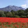 peggyescudier - @peggyescudier - TikTok