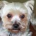 Peggy Seitz - Facebook