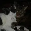 peggyseitzinger63 - @peggyseitzinger63 - TikTok