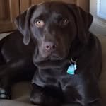 Peggy Shea - @peggy_shea - Instagram