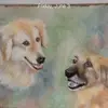 peggyshea8 - @peggyshea8 - TikTok