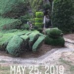Peggy  Sheets - @sheets9554 - Instagram