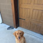 Peggy Sheppard - Facebook