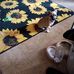 Margaret Sikes - Facebook