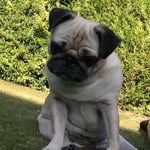 Peggy Silver - @peggysilver2 - Instagram