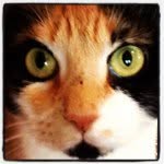 Peggy Silverstein - @peggysilver12 - Instagram