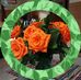 Peggy Snider - Facebook