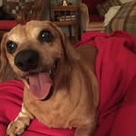 Peggy Snider - @snider54 - Instagram
