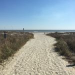 Peggy Snook Gregory - @charlestonshells - Instagram
