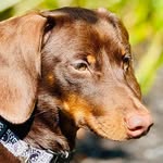 Peggy Spaulding - @peggyspaulding - Instagram